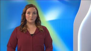 Yle Uutiset Häme: Yle Uutiset Häme 16-03-2018 klo 17-06: 16.03.2018 16.25