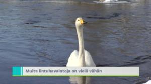 Yle Uutiset Uusimaa: Yle Uutiset Uusimaa 22-03-2018 klo 18-22: 22.03.2018 18.46