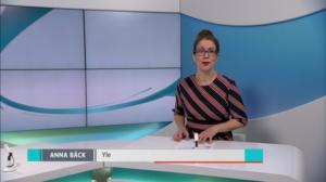 Yle Nyheter TV-nytt: 29.03.2018 17.55