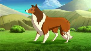 Lassie (7): 20.04.2018 03.30