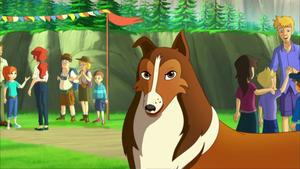 Lassie (7): 20.04.2018 04.00