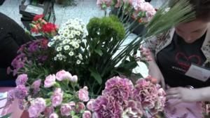 Luonto lähellä: 23.04.2018 08.28
