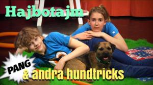Hundtricks - Vilka konster kan din hund? (S): 02.05.2018 16.00