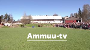 Ammuu-tv: 05.05.2018 11.05