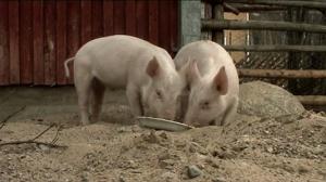 Possut ulos: 11.06.2018 07.21
