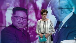 Yle Uutiset: 12.06.2018 21.50