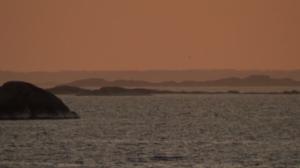 Viikon valinnat: Itämeri: 26.07.2018 08.30