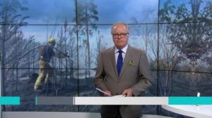 Yle Uutiset: 22.07.2018 21.50