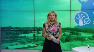 Yle Uutiset: 23.07.2018 22.00