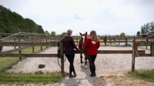 Ratsastuksen maailma: 05.08.2018 11.00