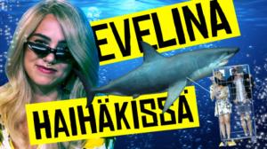 Jakso 01 - Evelina haihäkissä: 17.08.2018 10.00