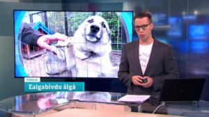 Oddasat: 31.08.2018 22.00