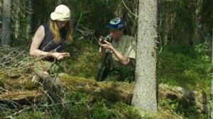 Metsä muutoksen kourissa: 24.09.2018 00.01