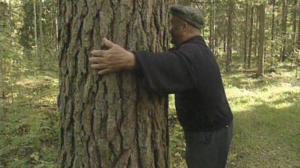 Kotimaan katsaus: Metsänviljelyn harharetket: 26.09.2018 00.11