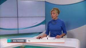 Yle Nyheter TV-nytt: 29.09.2018 17.55