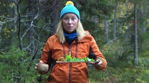 Mennään metsään - mistä syötävää ja juotavaa?: 03.10.2018 08.31