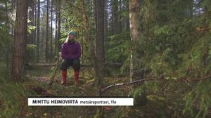 Mennään metsään: 05.10.2018 08.29