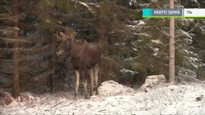 Yle Uutiset selkosuomeksi: 11.10.2018 15.05