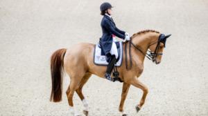 Horse show lördag, dressyr (svenskt referat): 20.10.2018 14.19
