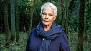 Judi Dench ja puiden neljä vuodenaikaa: 29.10.2018 06.00