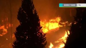 Yle Uutiset: 12.11.2018 22.40