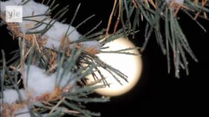 20. Guful-kuäʹsǩǩ Jooulkaʹlndre: Muõttkeeijuž: 20.12.2018 06.00