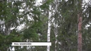 Luonto lähellä: Talousmetsän kasvatus: 03.12.2018 08.44