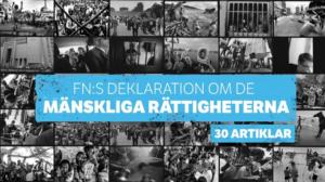 FN:s deklaration om de mänskliga rättigheterna: 05.12.2018 13.58