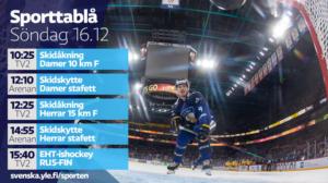 Världscupen på skidor, herrarnas 15 km (svenskt referat): 16.12.2018 13.48