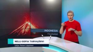 Yle Uutiset viittomakielellä: 23.12.2018 17.00