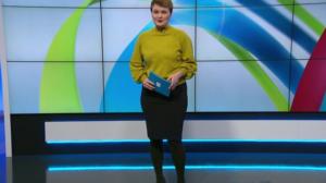 Yle Uutiset Uusimaa 17-01-2019 klo 18-22: 17.01.2019 18.36