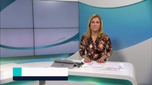 Yle Nyheter TV-nytt: 22.01.2019 17.55