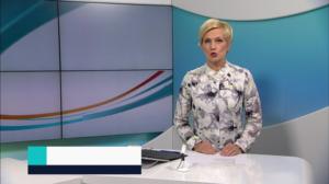 Yle Uutiset: 31.01.2019 15.00