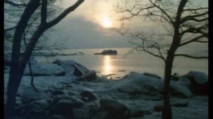 Luonto on vielä meidän: Kun meri on jäässä: 04.02.2019 00.01