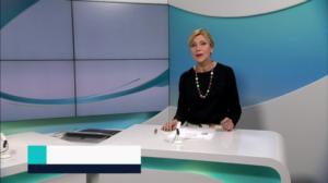 Yle Nyheter TV-nytt: 02.02.2019 17.55