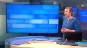 Oddasat: 04.02.2019 22.00