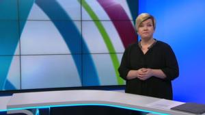 Yle Uutiset viittomakielellä: 10.02.2019 16.10