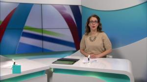 Yle Nyheter TV-nytt: 10.02.2019 17.55