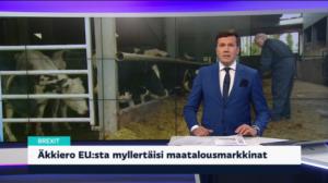 Yle Uutiset klo 7.00: 12.02.2019 07.44