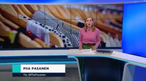 Yle Uutiset: 17.02.2019 22.00
