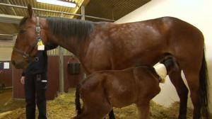 Elämäni eläimet: Eläinsairaalassa: 08.03.2019 10.30