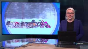 Oddasat: 11.03.2019 22.00