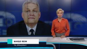 Yle Uutiset: 20.03.2019 22.00