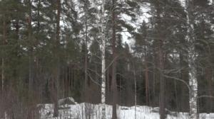 Luonto lähellä: 25.03.2019 08.00