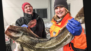 Kulutustavaratarkastajat: 05.04.2019 06.00