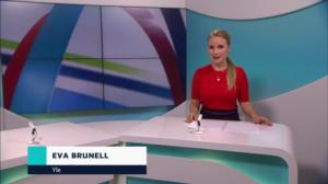 Yle Nyheter TV-nytt: 11.04.2019 17.55
