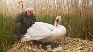 Prisma: Attenborough ja munan ihme: 15.04.2019 06.00