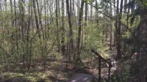 Svenska Yle live: Fåglarna kvittrar och sipporna blommar - följ med på vårutfärd till Läppträsket i Karis: 29.04.2019 14.39