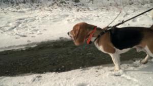 Luontoretkellä: 19.05.2019 06.00
