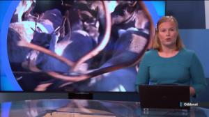 Oddasat: 22.05.2019 22.00
